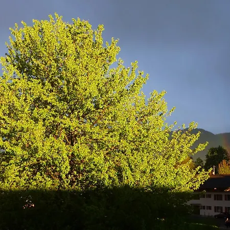 アパート Donebauer