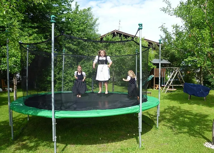 Donebauer 우베르시