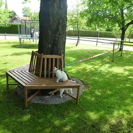 Donebauer * Übersee