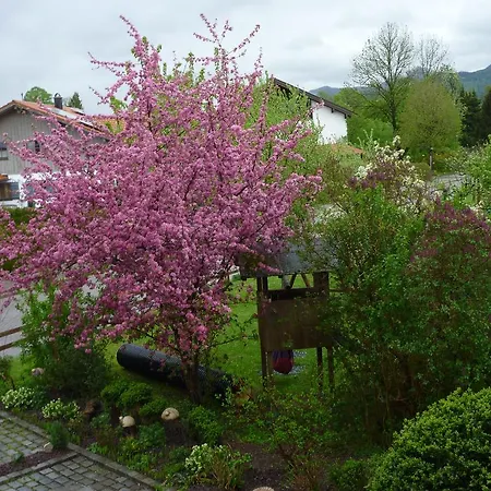 Donebauer Ubersee
