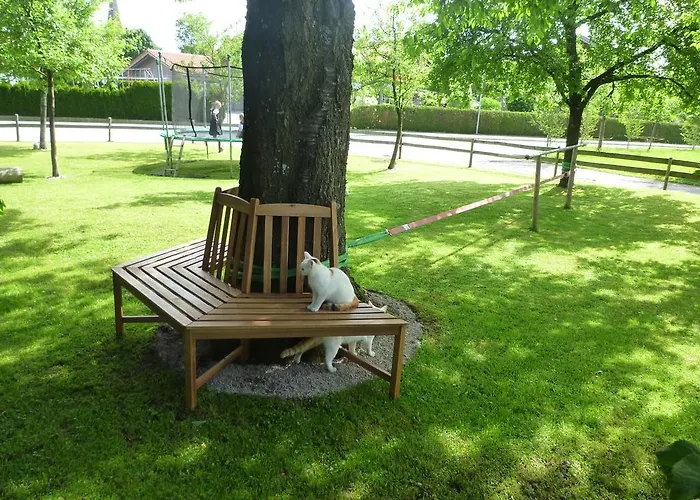 Donebauer * Übersee